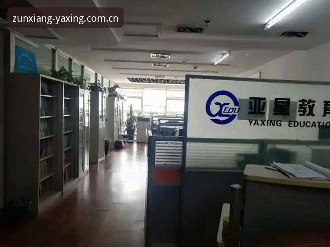 亚星YAXING使用教程 亚星YAXING使用教程:官方入口VS第三方通道,哪个更适合你?